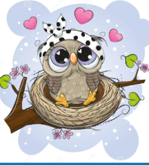 Owlet’s Nest